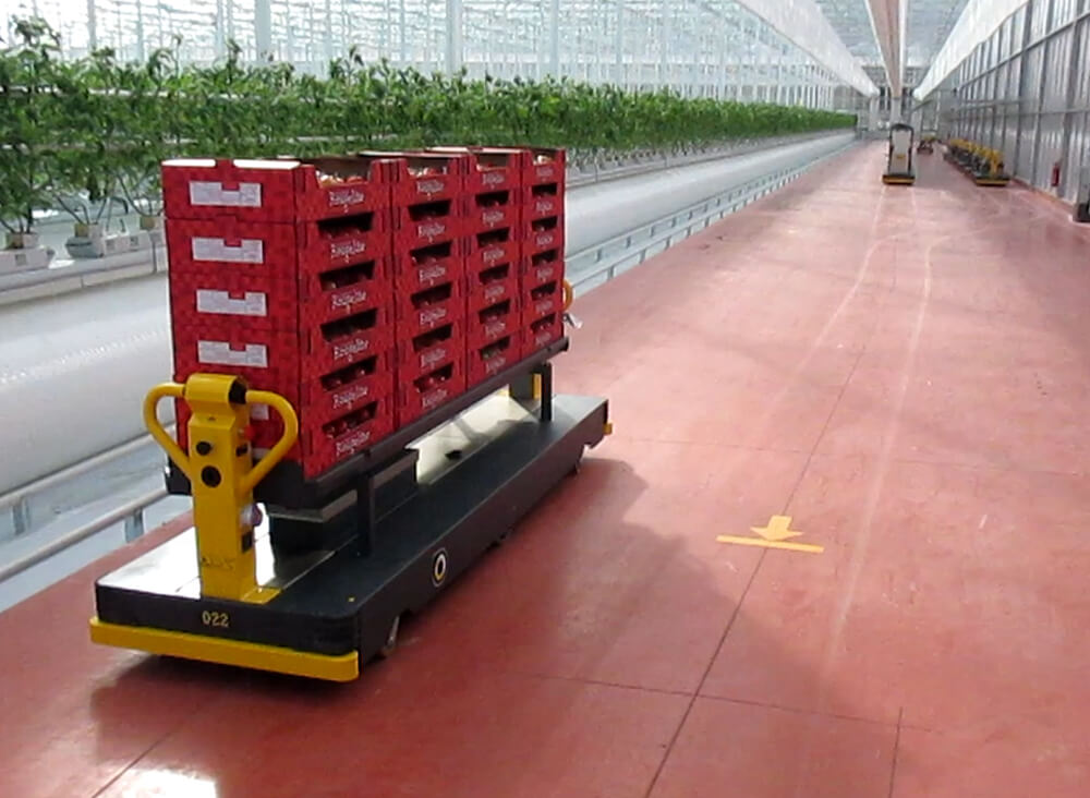 Qii-Drive Tomato harvest cart